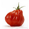 Tomate