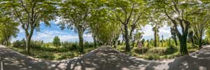 allee