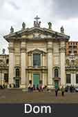 Dom Mantua