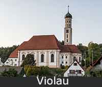 Violau