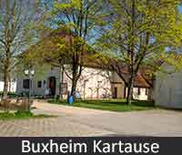 Kartause