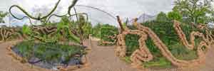 Le jardin