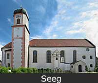 Seeg